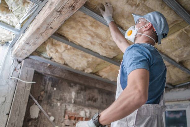 Best Professional Insulation Contractor  in Essexville, MI