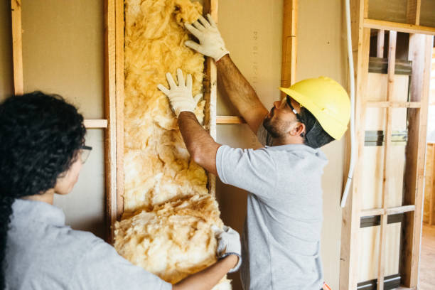 Best Home Insulation Services  in Essexville, MI