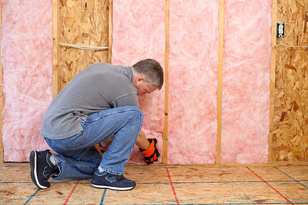 Best Insulation Repair Services  in Essexville, MI